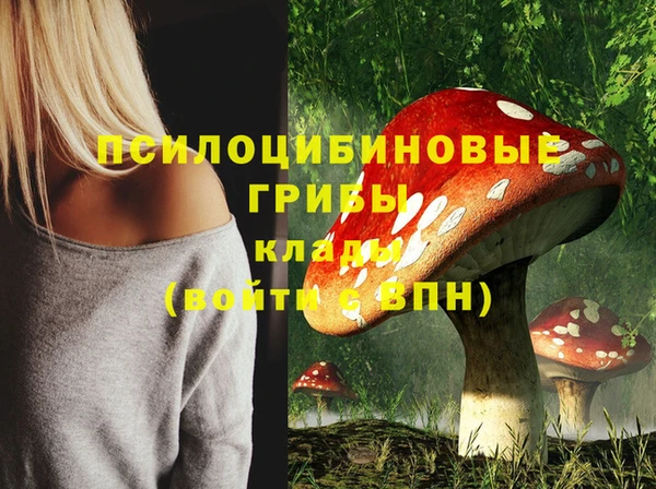 ешки Гусь-Хрустальный