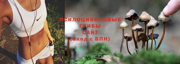 скорость mdpv Гусев