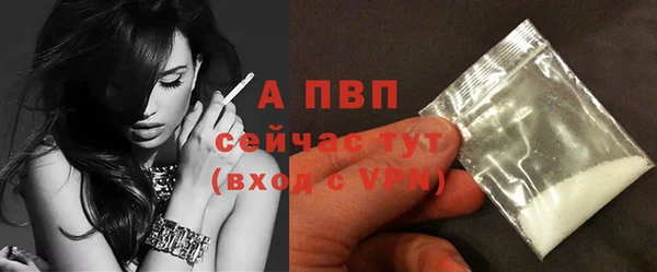 твердый Артём
