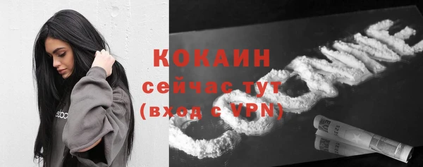 ешки Гусь-Хрустальный