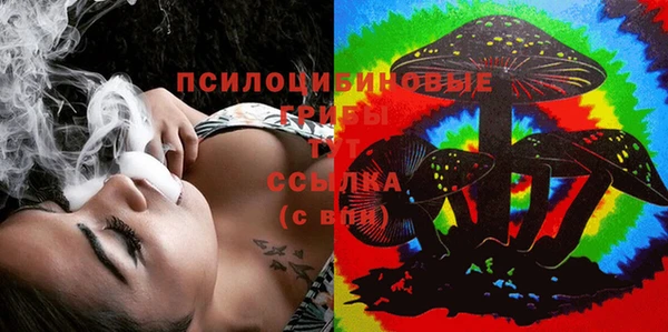 мдпв Гусиноозёрск